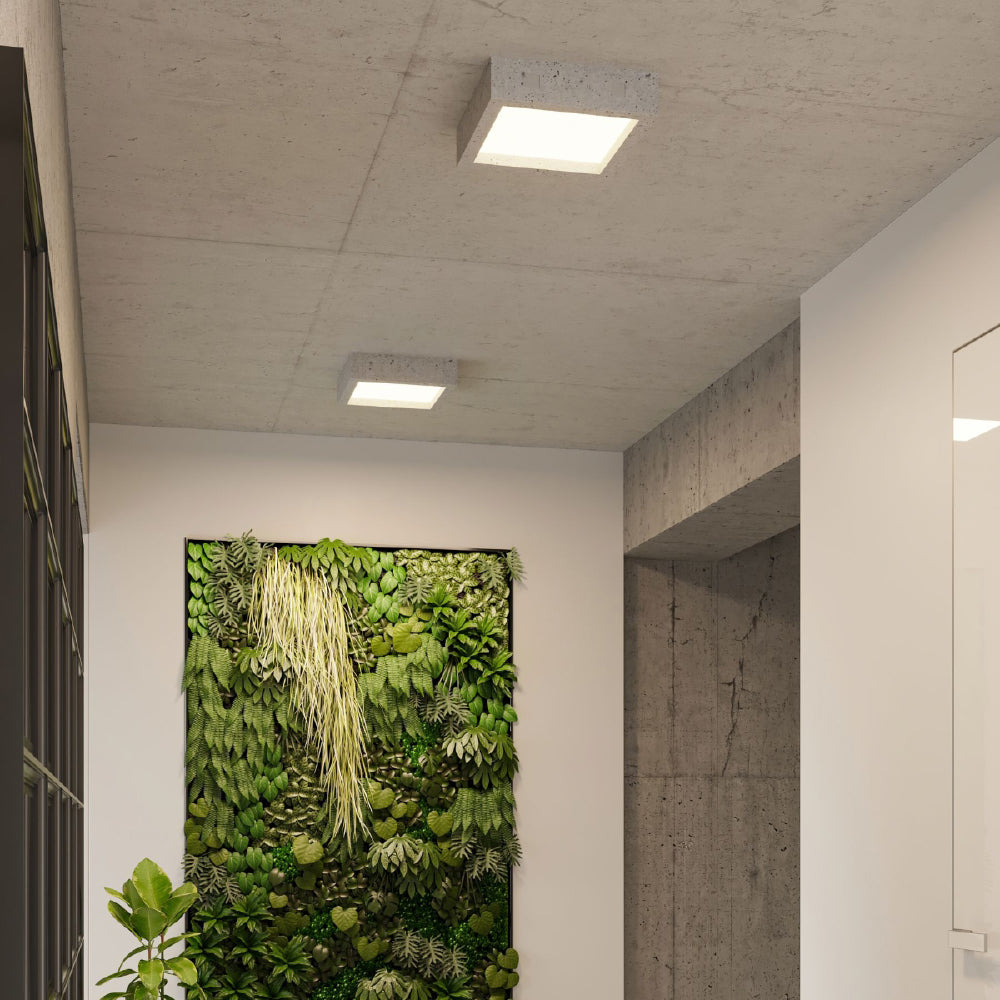 Plafondlamp Riza Sollux Grijs LxBxH 38x38x20 Beton, Glas Nnb